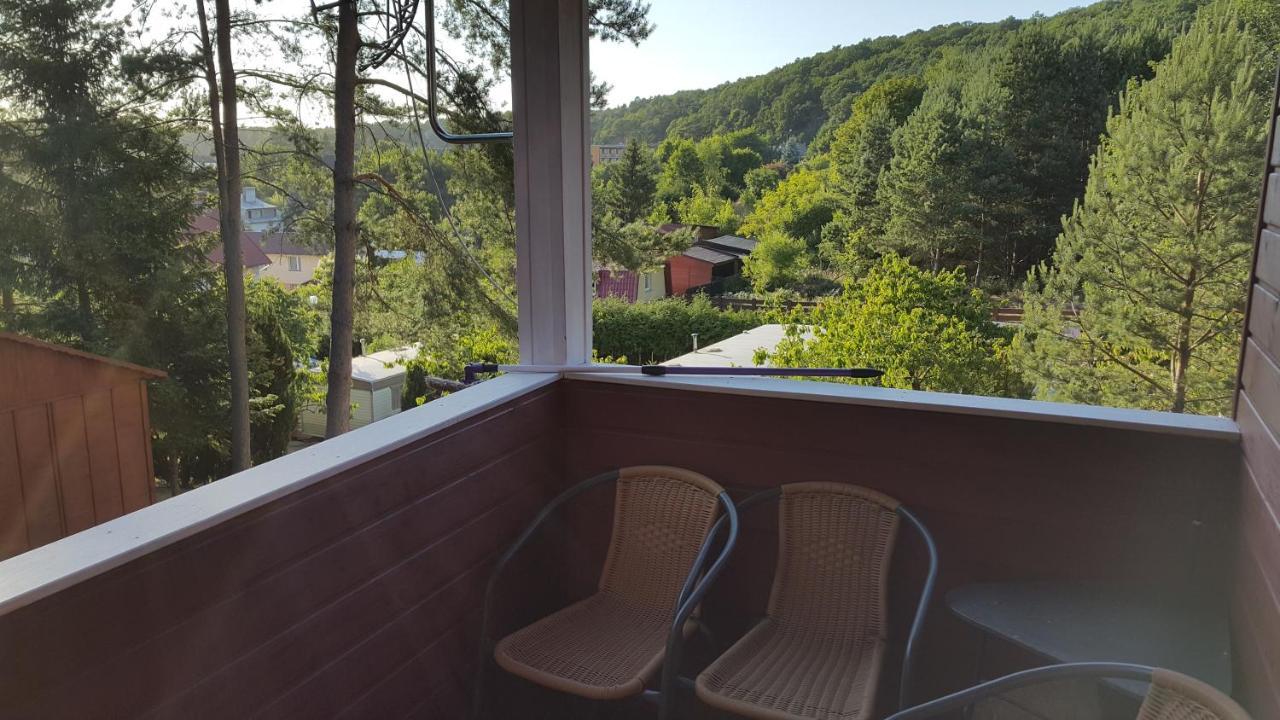 Vila Czeresniowy Sad Wisełka Exteriér fotografie